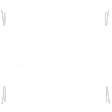 Прапор Брутто Лого