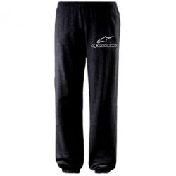 Штаны Alpinestar Logo - PrintSalon