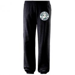 Штаны Anaheim Mighty Ducks Logo - PrintSalon