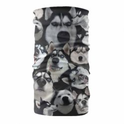 Бандана Husky Emotions - PrintSalon