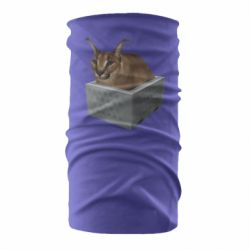 Бандана Шлепа в тазике - PrintSalon