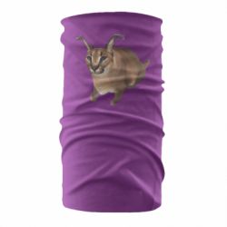 Бандана Шлепа кот - PrintSalon