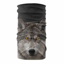 Бандана Wolf with yellow eyes