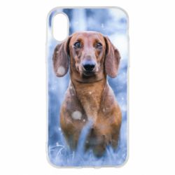 Чехол для iPhone X/Xs Beautiful dachshund - PrintSalon