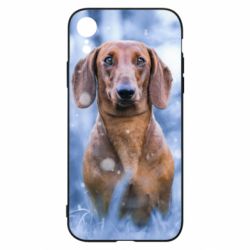 Чехол для iPhone XR Beautiful dachshund - PrintSalon