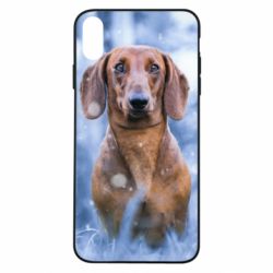Чехол для iPhone Xs Max Beautiful dachshund - PrintSalon