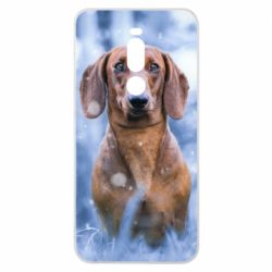 Чехол для Meizu Note 8 Beautiful dachshund - PrintSalon