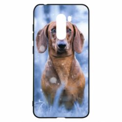 Чехол для Xiaomi Pocophone F1 Beautiful dachshund - PrintSalon