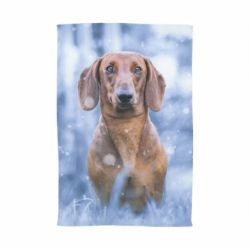 Полотенце с принтом Beautiful dachshund - PrintSalon
