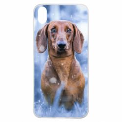 Чехол для Xiaomi Redmi 7A Beautiful dachshund - PrintSalon
