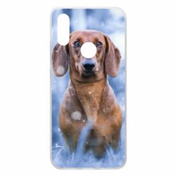 Чехол для Xiaomi Redmi 7 Beautiful dachshund - PrintSalon