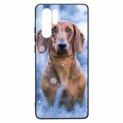 Чехол для Huawei P30 Pro Beautiful dachshund - PrintSalon