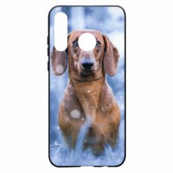 Чехол для Huawei P30 Lite Beautiful dachshund - PrintSalon