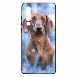 Чехол для Huawei P30 Beautiful dachshund - PrintSalon