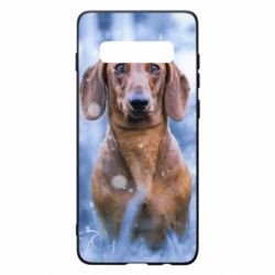 Чехол для Samsung S10+ Beautiful dachshund - PrintSalon