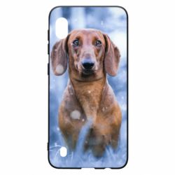 Чехол для Samsung A10 Beautiful dachshund - PrintSalon