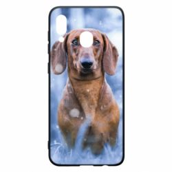 Чехол для Samsung A20 Beautiful dachshund - PrintSalon