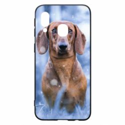 Чехол для Samsung A40 Beautiful dachshund