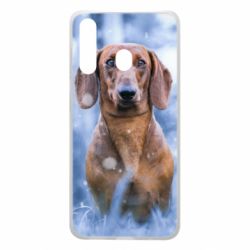 Чехол для Samsung A60 Beautiful dachshund - PrintSalon