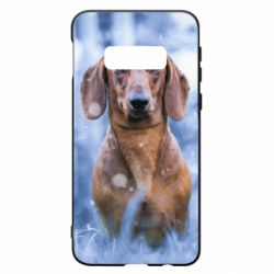 Чехол для Samsung S10e Beautiful dachshund - PrintSalon