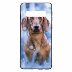 Чехол для Samsung S10 Beautiful dachshund - PrintSalon
