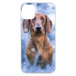 Чохол для iPhone 11 Pro Beautiful dachshund