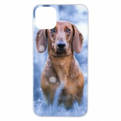 Чехол для iPhone 11 Pro Max Beautiful dachshund - PrintSalon