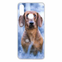 Чехол для Samsung A10s Beautiful dachshund - PrintSalon