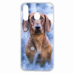 Чехол для Samsung M30 Beautiful dachshund - PrintSalon