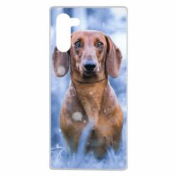 Чехол для Samsung Note 10 Beautiful dachshund - PrintSalon