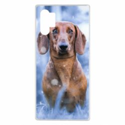 Чехол для Samsung Note 10 Plus Beautiful dachshund - PrintSalon