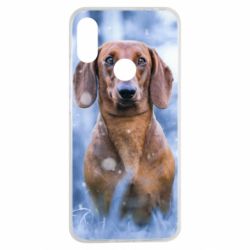 Чехол для Xiaomi Redmi Note 7 Beautiful dachshund