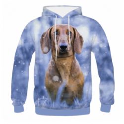 Мужское 3D худи Beautiful dachshund - PrintSalon