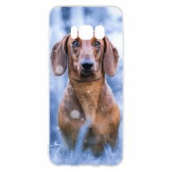 Чехол для Samsung S8 Beautiful dachshund
