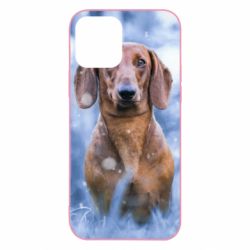 Чехол для iPhone 12 Pro Beautiful dachshund