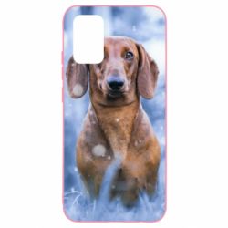 Чехол для Samsung A02s/M02s Beautiful dachshund - PrintSalon