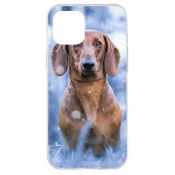 Чехол для iPhone 12 Pro Max Beautiful dachshund - PrintSalon