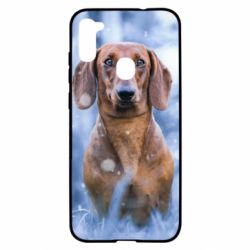 Чехол для Samsung A11/M11 Beautiful dachshund - PrintSalon