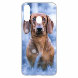 Чехол для Samsung A20s Beautiful dachshund - PrintSalon