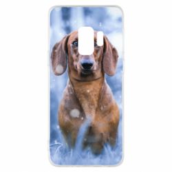 Чохол для Samsung S9 Beautiful dachshund