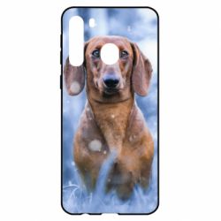 Чехол для Samsung A21 Beautiful dachshund - PrintSalon