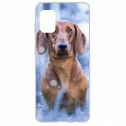 Чохол для Samsung A31 Beautiful dachshund