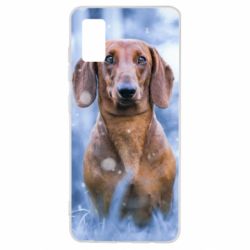 Чехол для Samsung A41 Beautiful dachshund