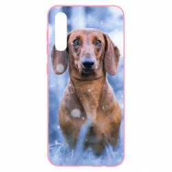Чехол для Samsung A50 Beautiful dachshund - PrintSalon