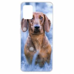 Чехол для Samsung A51 Beautiful dachshund - PrintSalon