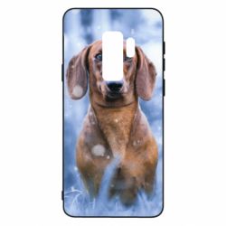 Чехол для Samsung S9+ Beautiful dachshund - PrintSalon