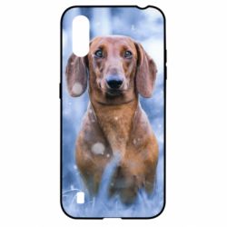 Чехол для Samsung A01/M01 Beautiful dachshund - PrintSalon
