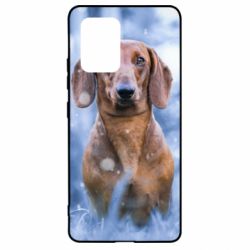 Чехол для Samsung S10 Lite Beautiful dachshund - PrintSalon
