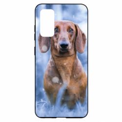 Чехол для Samsung S20 Beautiful dachshund