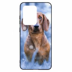 Чехол для Samsung S20 Ultra Beautiful dachshund